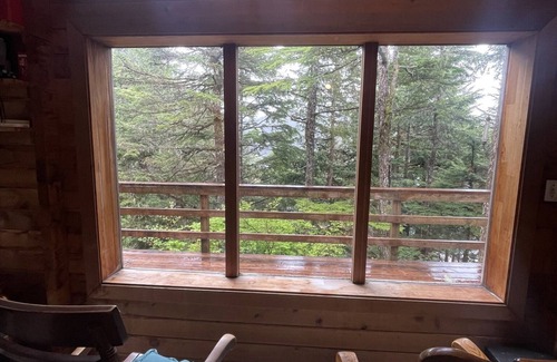 Elfin Cove Cabin | Experience Elfin Cove's Hilltop Tree House with Breakfast