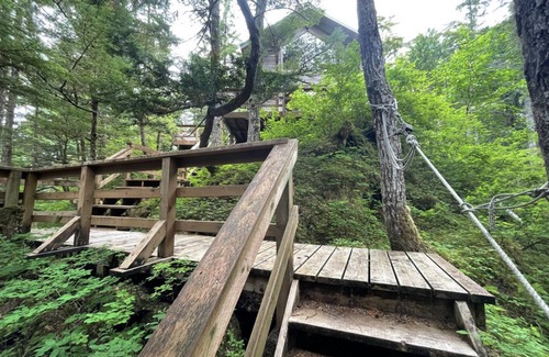 Elfin Cove Cabin | Experience Elfin Cove's Hilltop Tree House with Breakfast