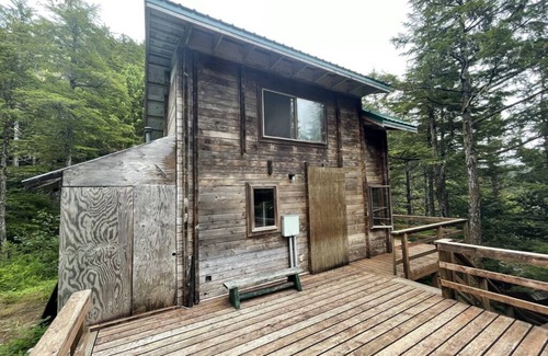 Elfin Cove Cabin | Experience Elfin Cove's Hilltop Tree House with Breakfast
