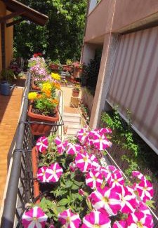 Zona LIII Tomba di Nerone Apartment | Exceptional Elisa e Carla House: Pet & Child-Friendly Apartments