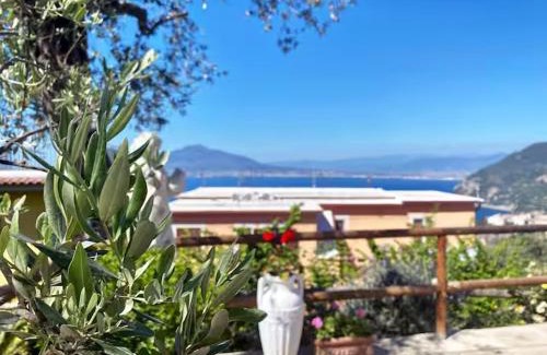Monte Chiaro Bed & Breakfast | Idyllic Elisabeth Seaview Apartments on the Sorrento Coast