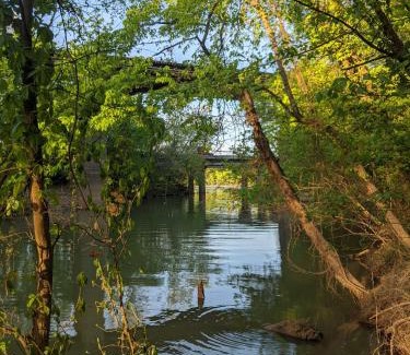 Lookout Valley Neighborhood Association House | Elise Cabin Forest Retreat: Pet-Friendly Getaway Near Downtown