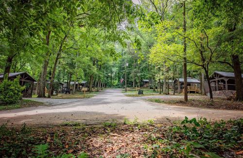 Lookout Valley Neighborhood Association House | Elise Cabin Forest Retreat: Pet-Friendly Getaway Near Downtown