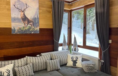Pamporovo Apartment | Family-Friendly Elizi1winter Apartments in Pamporovo