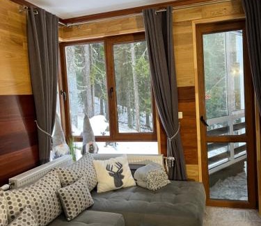 Pamporovo Apartment | Family-Friendly Elizi1winter Apartments in Pamporovo