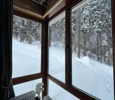 Pamporovo Apartment | Family-Friendly Elizi1winter Apartments in Pamporovo