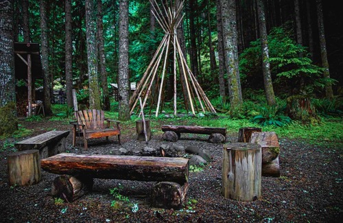 Enumclaw House | Experience Elk Crossing Cozy Cabin with Hot Tub & Spa