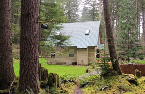 Enumclaw House | Experience Elk Crossing Cozy Cabin with Hot Tub & Spa