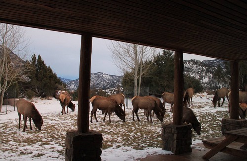 Emigrant House | Escape to Elk Run Ranch: Breathtaking Views Await!