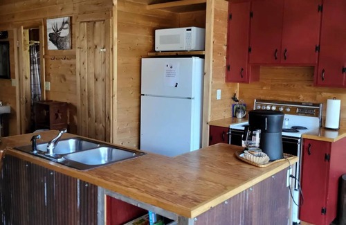 Condon Cabin | Experience Elk's Run: Idyllic Cabin Among Scenic Pines
