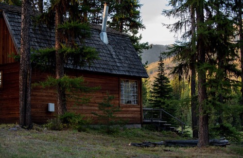 Condon Cabin | Experience Elk's Run: Idyllic Cabin Among Scenic Pines