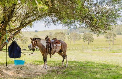 Ellangowan House | Ellangowan Equine Retreat by Tiny Away