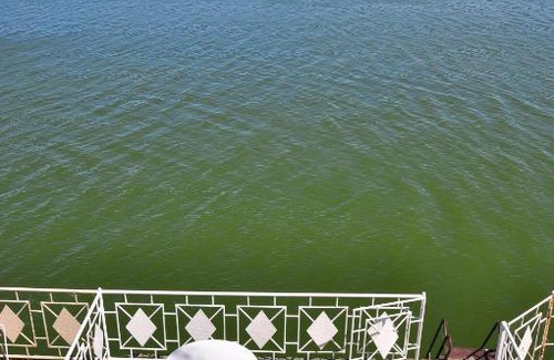 Taganrog House | Discover Elling Morskoi dom: Pet-Friendly Oasis by the Sea