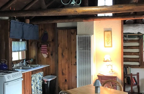 Grawn Cabin | Pet-Friendly Ellis Lake Resort: Cozy Doghouse Log Cabin