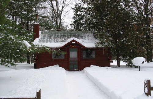 Grawn Cabin | Pet-Friendly Ellis Lake Resort: Cozy Doghouse Log Cabin