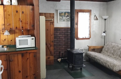 Grawn Cabin | Relaxing Ellis Lake Resort Elm Log Cabin with Spa & Hot Tub