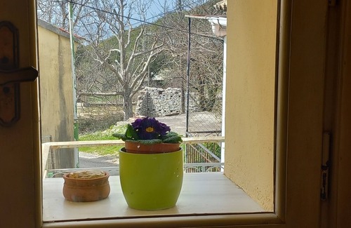 Petaleia House | Discover Unique Elm Tree: Pet-Friendly Retreat in Pantokratoras