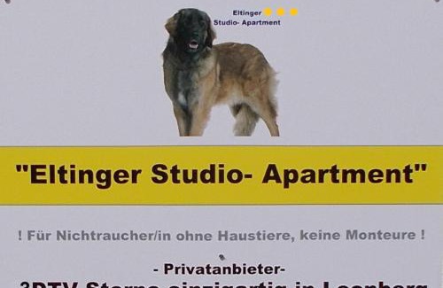 Leonberg Apartment | Cozy Eltinger Studio Apartment with Oceanfront Views