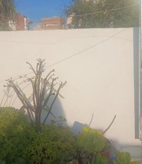 Lanus House | Elun