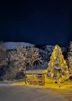 Lenvik House | Elvestua: 4-Star Gem with Hot Tub and Family-Friendly Perks