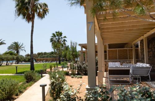 Agios Theodoros Apartment | Experience Elya Beach Suites: Oceanfront with Pool & Dining