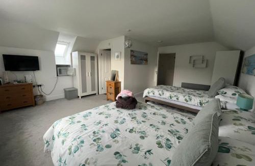 Saint Erth Praze Bed & Breakfast | Pet-Friendly Comfort at Elysian Fields B&B – Rated 10/10