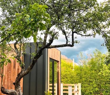 Sadu Bed & Breakfast | Discover Elysian Fields: Tiny House 'Evergreen' Retreat