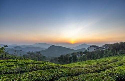 Elappara Resort | Elysian Vale