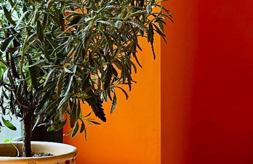Quy Nhon House | Discover Em's Garden Quy Nhơn: Family and Pet Friendly Stay