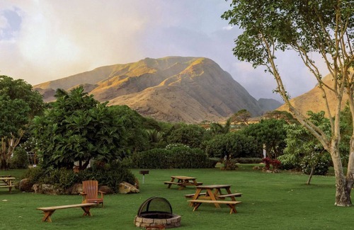 Paia House | Experience Aloha Glamp in Paradise: Guest Rated 10/10