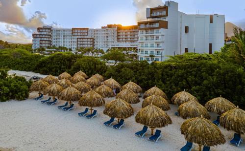 Palm Beach Resort | Pet-Friendly Embassy Suites by Hilton Aruba Beach Resort