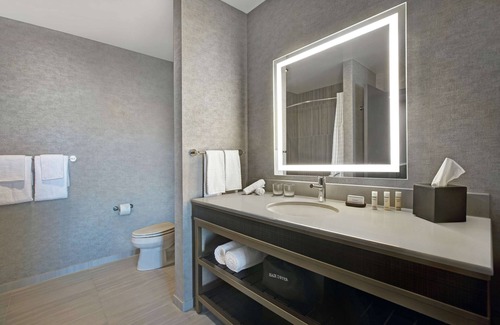 Downtown Hotel | Experience Embassy Suites by Hilton Rockford Riverfront Today