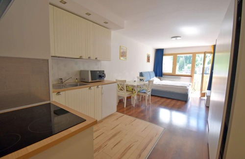 Madonna di Campiglio Apartment | Emerald 36 Studio: Pet-Friendly Stay with Lake Views