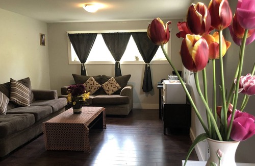 Charlottetown House | Discover the Emerald Gem: A Family-Friendly Retreat
