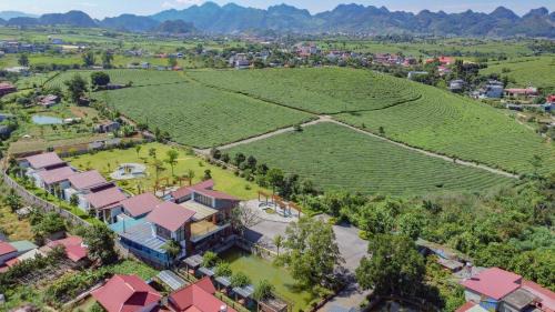 Moc Chau Resort | Emopea Moc Chau: Cozy Retreat with Family-Friendly Amenities