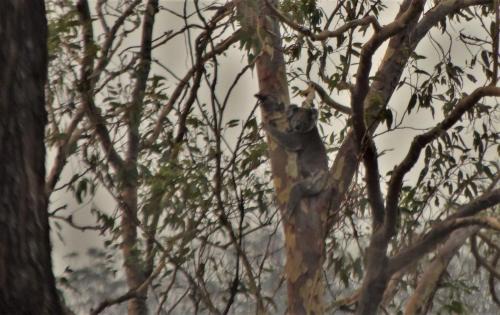 Tabulam Other | Cozy Emu Creek Retreat: Family-Friendly with Breakfast & Fireplace