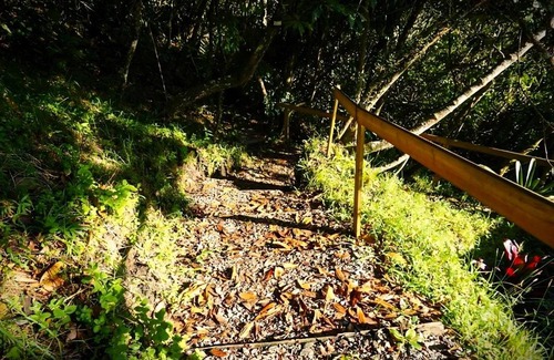 Guarne Other | Discover ENCANTO: Pet-Friendly Minicasitas in Nature