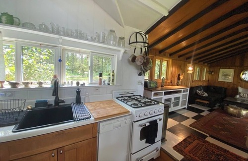 Napanoch Cabin | Enchanted 2 bedroom, x-lake cabin with mountain views. Fast WFYI , Napanoch.