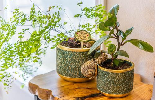 Forks House | Enchanted Rainforest Tiny Home Retreat #25