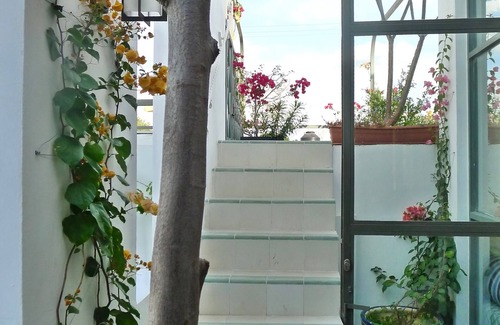 Centro Apartment | Charming Duplex Casita with Rooftop Deck in Merida