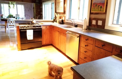 Boone Cabin | Enchanting Log Cabin: Pet-Friendly Retreat with Breakfast