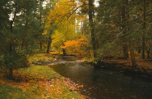 Yulan Ski Chalet | Pet-Friendly Riverfront A-Frame Cabin - Rated 10/10!