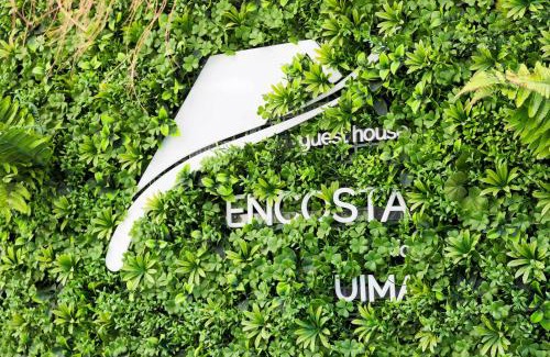 Caldas de Sao Jorge Apartment | Inviting Encosta do Uíma - Guest House with Spa & Hot Tub