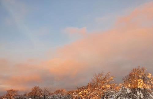 Huertgenwald Apartment | Vibrant Getaway in the Eifel: Pet & Child Friendly Retreat