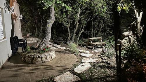 Tsiv'on Apartment | Engel Apartments: Pet-Friendly Retreat in Upper Galilee