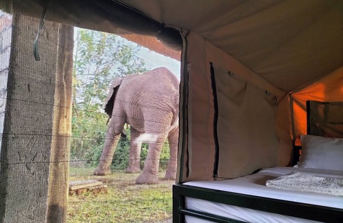 Kasese Cabin | Discover Engiri Game Lodge & Campsite in Uganda's Wildlife Haven