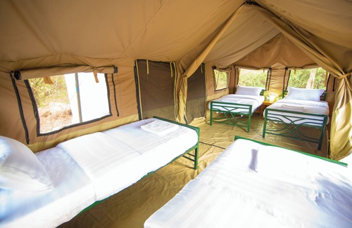 Kasese Cabin | Discover Engiri Game Lodge & Campsite in Uganda's Wildlife Haven