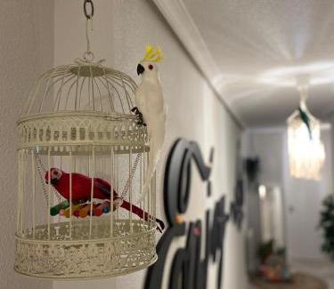 Old Town of Avila Apartment | Discover Ávila - LA CATEDRAL: Child-Friendly Retreat