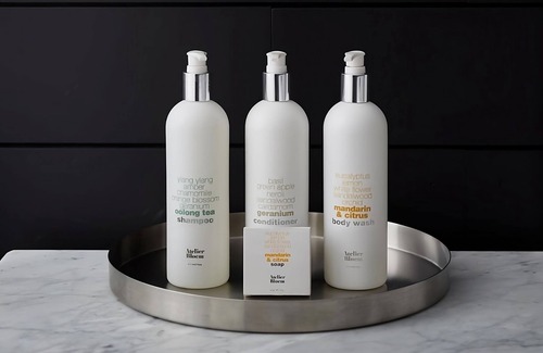 Hell's Kitchen Hotel | Relax and Unwind with Accessible Units for You & Your Pet