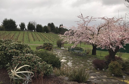 Newberg Apartment | Unwind in Oregon's Wine Country with Spa & Breakfast Options